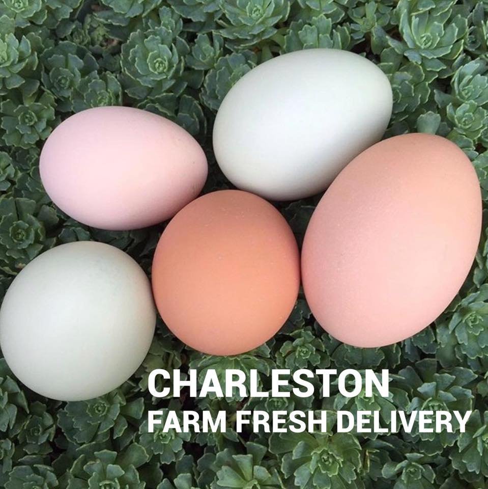 Charleston Farm Fresh